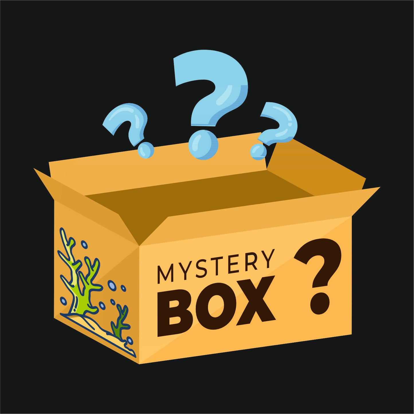 Mystery Box